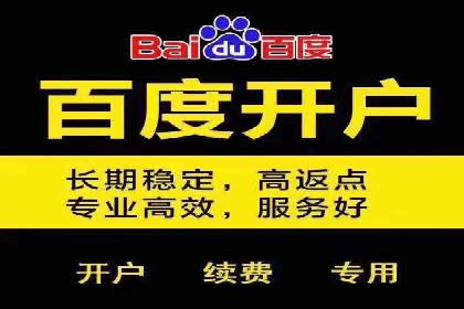 百度竞价代运营案例：电商行业逆袭